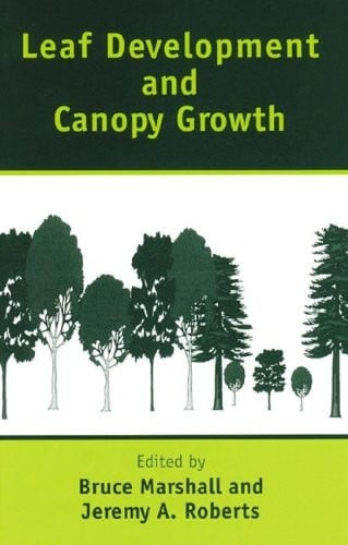 Leaf development and canopy growth