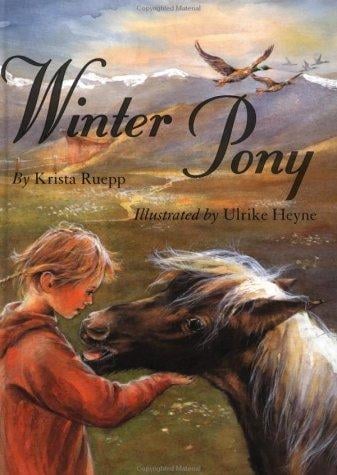 Winter pony