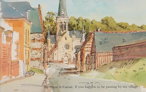 Caesar the Village Cockerel