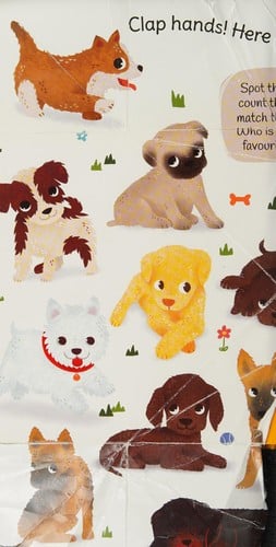 Here Come the Puppies: A Touch and Feel Book