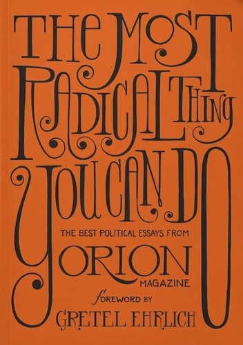 The Most Radical Thing You Can Do: The Best Political Essays from Orion Magazine
