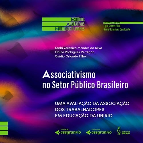 Associativismo no Setor Público Brasileiro: uma avaliação da associação dos trabalhadores em educação da Unirio