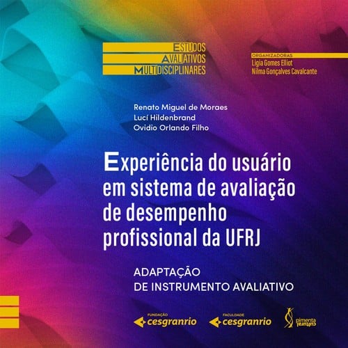 Experiência do usuário em sistema de avaliação de desempenho profissional da UFRJ: adaptação de instrumento avaliativo