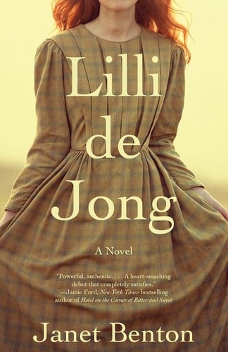 Lilli de Jong: a novel