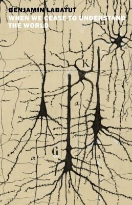 When we cease to understand the world