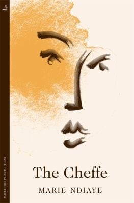 Chef: A Cook's Novel