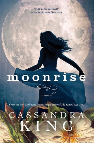 Moonrise: a novel