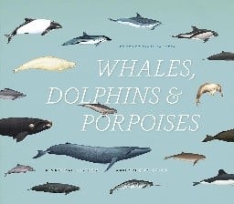 Whales, Dolphins and Porpoises: A Natural History and Species Guide
