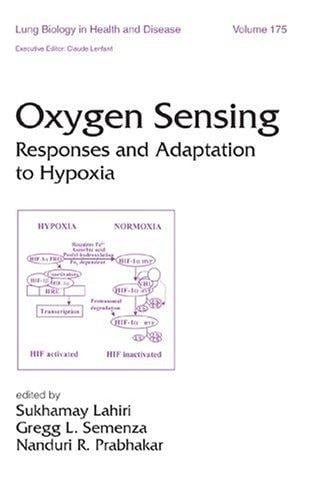 Oxygen Sensing: Responses and Adaptation to Hypoxia (Lung Biology in Health and Disease)