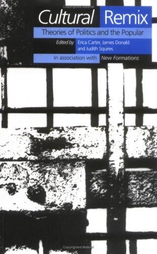 Cultural remix: theories of politics and the popular