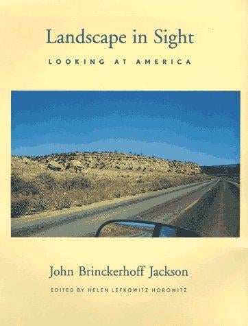 Landscape in sight: looking at America