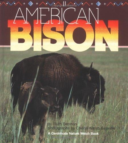 American bison