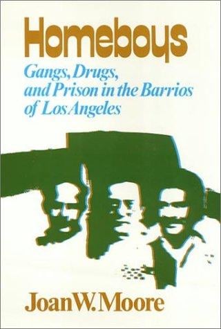 Homeboys: Gangs, drugs, and prison in the barrios of Los Angeles