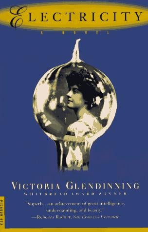 Electricity: a novel