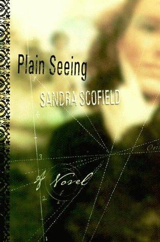 Plain seeing: a novel