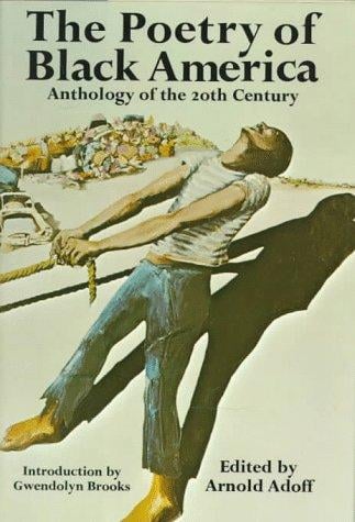 The Poetry of Black America: Anthology of the 20th Century
