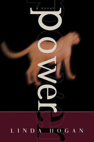 Power: A Novel