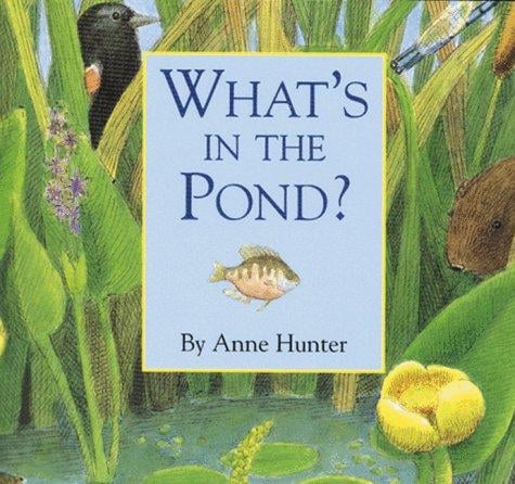 What's in the pond?