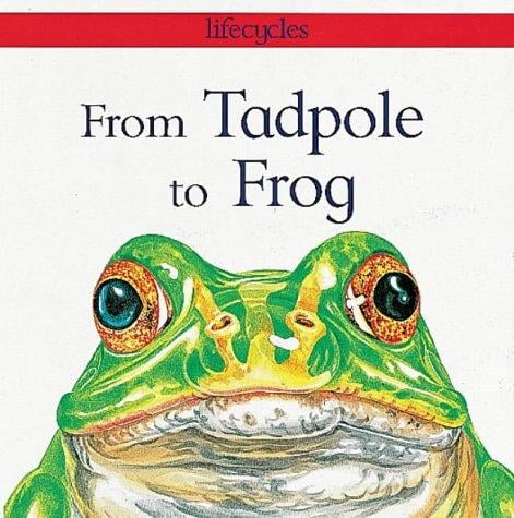 From Tadpole to Frog (Lifecycles)