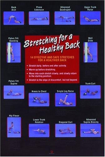 Stretching for a Healthy Back Poster (Flexibility Poster)