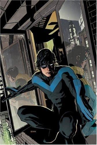 Nightwing: The Lost Year (Nightwing (Graphic Novels))
