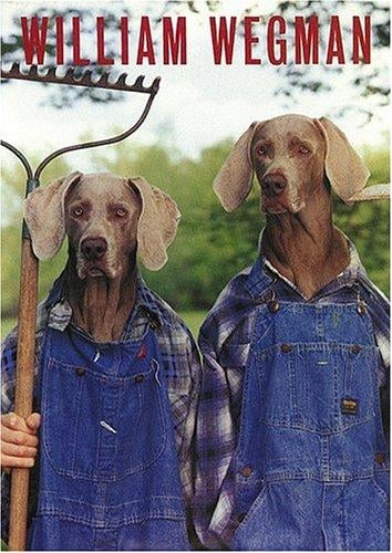 William Wegman: Postcard Box