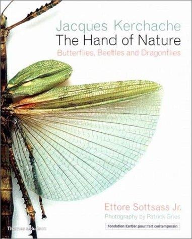 The Hand of Nature: Butterflies, Beetles, and Dragonflies