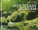 Mountain stream