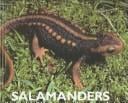 Salamanders