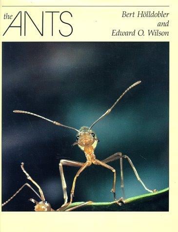 ants