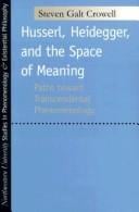 Husserl, Heidegger, and the space of meaning: paths toward transcendental phenomenology