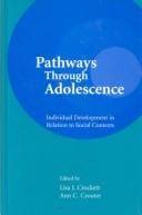 Pathways Through Adolescence: individual Development in Relation To Social Contexts (Penn State Series on Child & Adolescent Development)