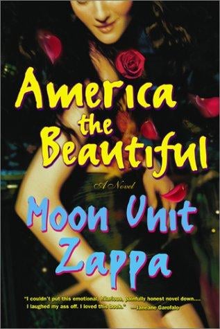 America the beautiful: a novel