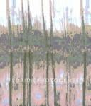 Florida Photogenesis: The Work of Creative and Experimental Photographers in Florida