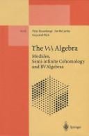 The W3 Algebra: Modules, Semi-Infinite Cohomology and Bv Algebras (Lecture Notes in Physics New Series M)