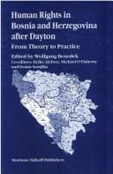 Human rights in Bosnia and Herzegovina after Dayton: from theory to practice