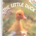 Little Duck