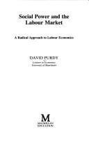 Social Power and the Labour Market (Radical Economics)