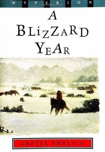 A Blizzard Year