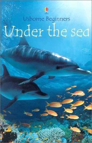 Under the Sea (Beginners)