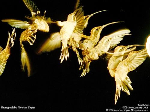 tutorial guide to Lotus 123: an introduction to problem solving with spreadsheets.