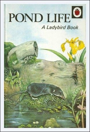Pond Life: A Ladybird Book