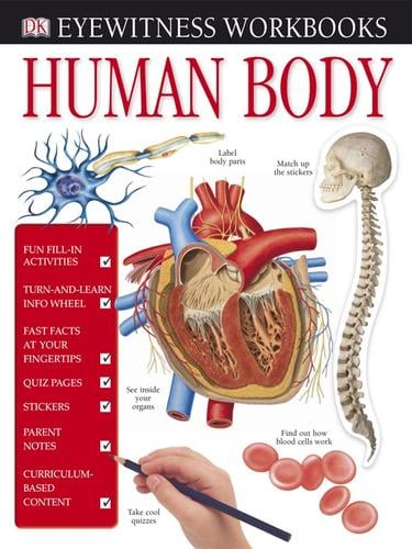 Human Body
