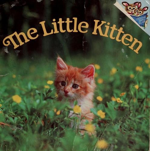 The little kitten