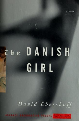 The Danish girl: a novel