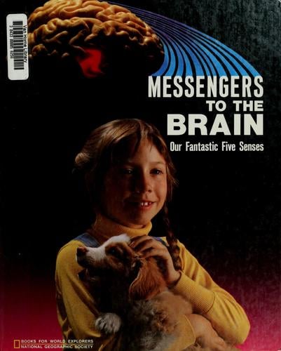 Messengers to the brain: our fantastic five senses