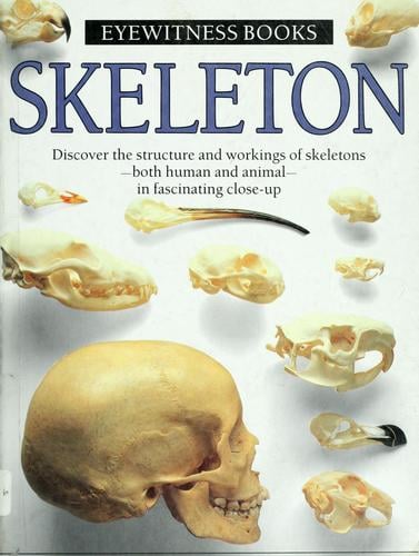 Skeleton