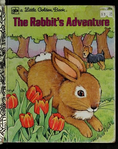 The rabbit's adventure