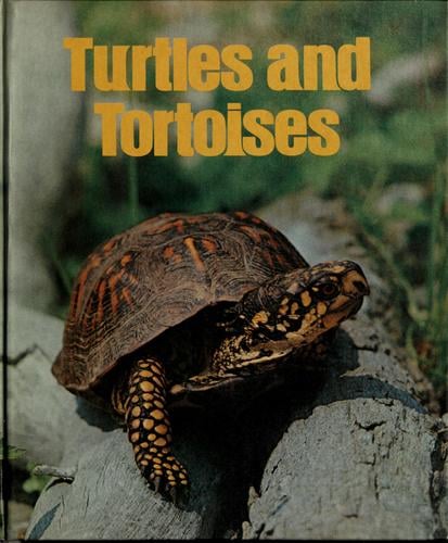 Turtles and tortoises.