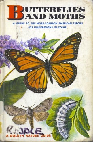 Butterflies and Moths: a guide to the more common American species. 423 illustrations in color.